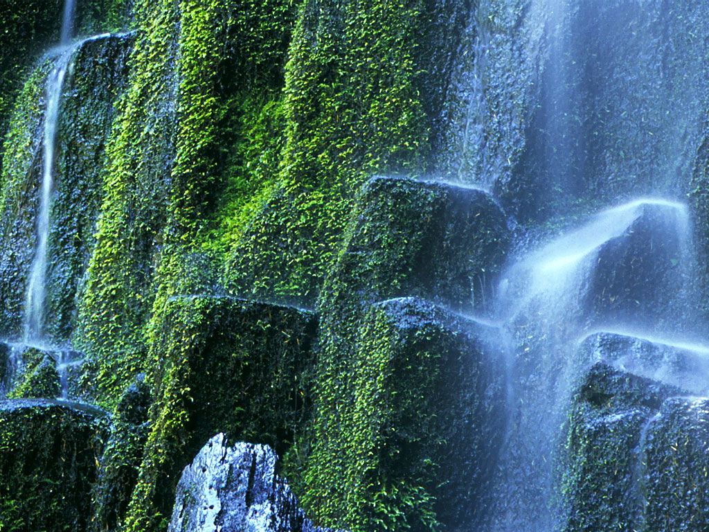 proxy_falls2c_willamette_national_forest2c_oregon.jpg